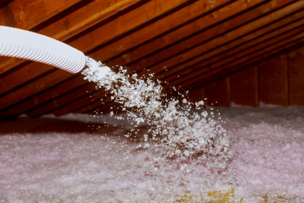 Best Commercial Insulation in Indian Hills, NM