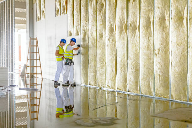 Best Specialized Insulation Services in Indian Hills, NM